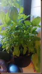 WP_20130515_001