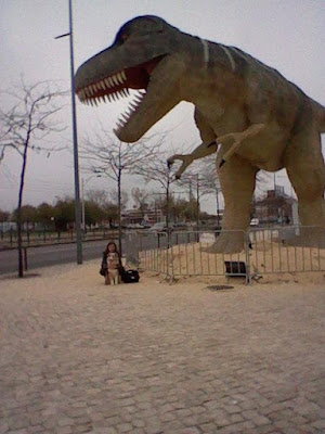 australian shepherd in a dinosaur exhibit