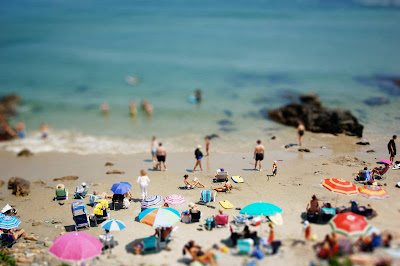 Unique Tilt-Shift Photography for Miniature Effect