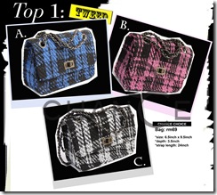 Chapter11_Bag_01