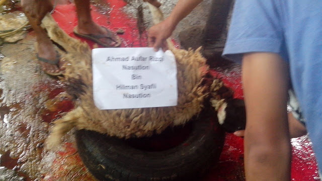 Jual_Kambing_Aqiqah_Murah_Cibitung