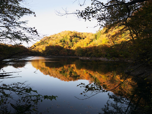 十二湖 鶏頭場の池