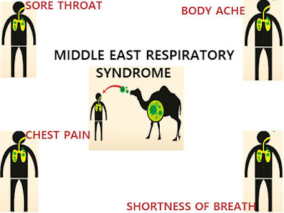 Symptoms and Treatment For Corona virus