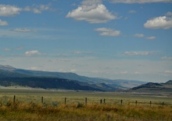 DSC_0006