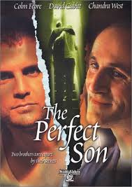 the perfect son