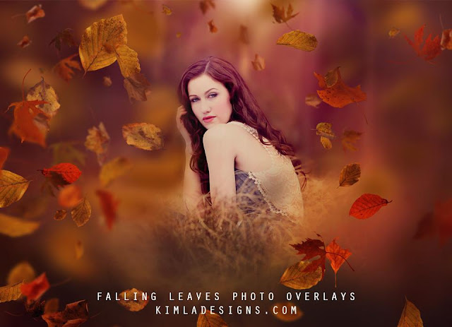 Fly Leaves Photoshop Overlay With Action File