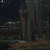Horny Feral Negro Giving His Wood to a Tree! (VIDEO)