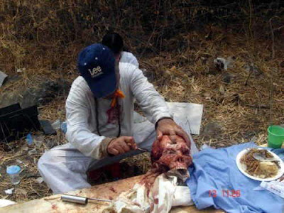 Heboh Foto Aliran Sesat, Membunuh Dan Berpesta Memakan Daging Manusia [ www.BlogApaAja.com ]
