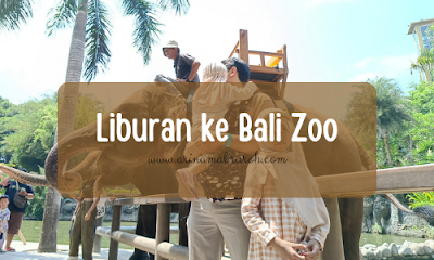 Liburan akhir tahun ke Bali zoo