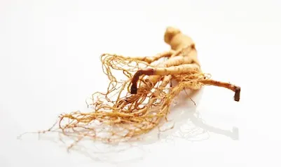 How Long Does It Take to Feel The Effects of Ginseng
