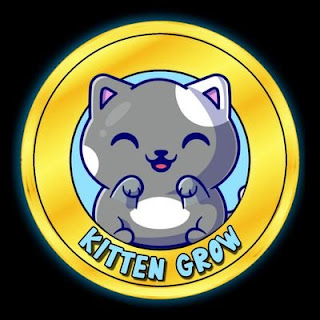 kitten-grow-kgc2