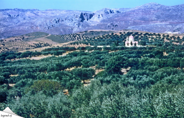 クレタ島・最東部・Azokeramos村～聖Ioanis礼拝室～オリーブ耕作地 Olive field, Agios Ioanis Church, Azokeramos, Eastern Crete／©legend ej