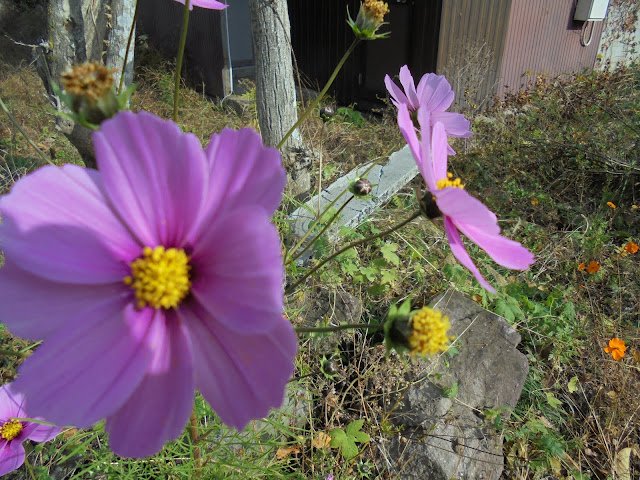 藍野公民館