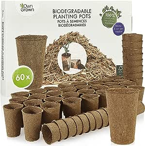 Biodegradable Palanters: