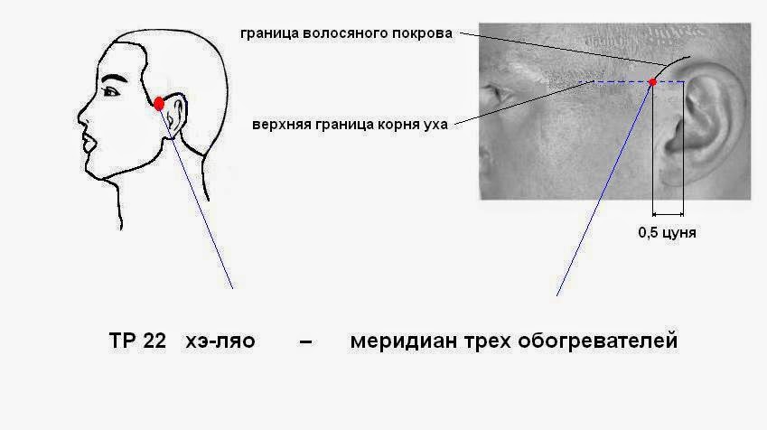 Как отличить зубную боль от тройничного. Точка Хэ Ляо. Точки при потере слуха. Граница волосяной Покров это.