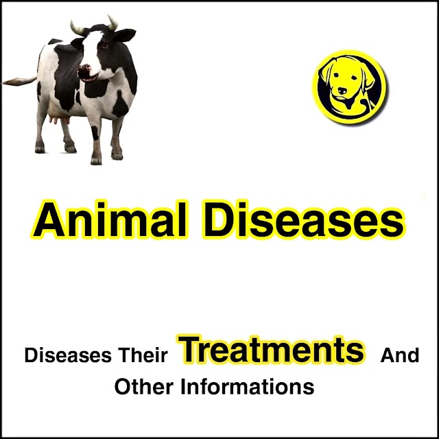 Free Download Animal Diseases Full Pdf