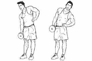 6. Dumbbell Side Bends