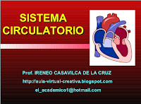 http://www.slideshare.net/ireneocasavilcadelacruz7/sistema-circulatorio-primaria