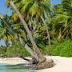 Universities in Cayman Islands