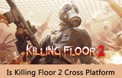 Is Killing Floor 2 Cross Platform?