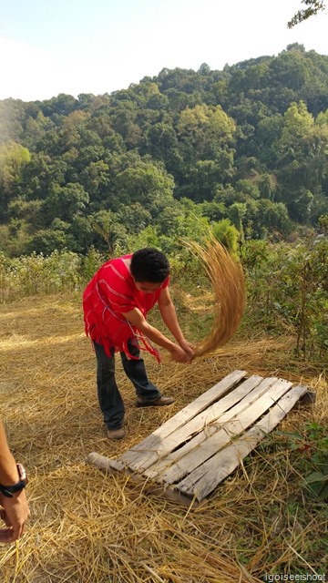 Doi Inthanon  National Park, Chiangmai