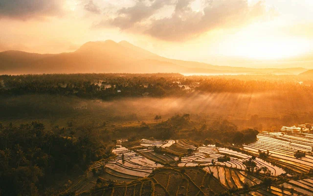 Gambar Trip Hotel Penginapan Terbaik Liburan Di Bali