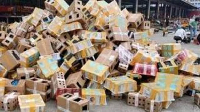 Encontraron 4 mil mascotas muertas y embaladas en un depósito de China