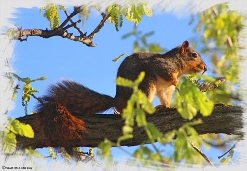 IMG_1124_Fotor