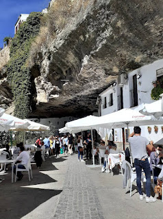 SETENIL DE LA BODEGA