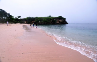 http://www.lomboksociety.web.id/2017/01/paket-tour-pantai-pink-dengan-snorkeling.html