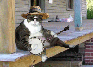 Gif de humor