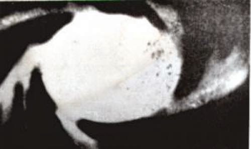 New Ufo Report Of Unidentified Sightings And Experience