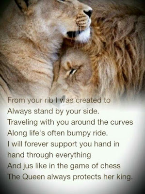 Lion Relationship Quotes