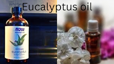 Eucalyptus Essential Oil: