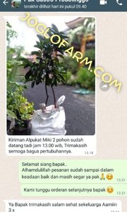 Testimoni Pelanggan Tanaman