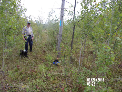 trail work