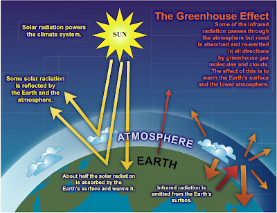 The green house effect