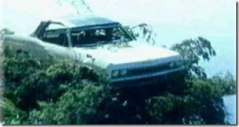 Chevrolet Impala Sur un arbre perché
