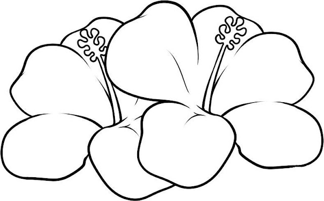 coloriage fleur gratuit