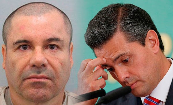  El Chapo,  fue una excelente "ofrenda" de Peña Nieto a Trump