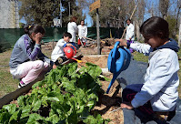 ecoescuelas