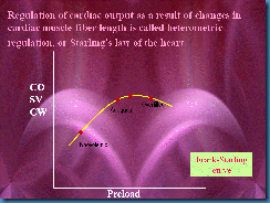 Slide27