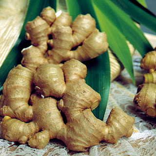 ginger herbal picture