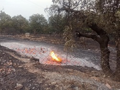 ΛΑΚΩΝΙΑ:Συνεχίζεται η μάχη με τις φλόγες στην περιοχή του Σμύνους