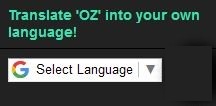 Use this button (It's on the left side of 'OZ') to translate it.