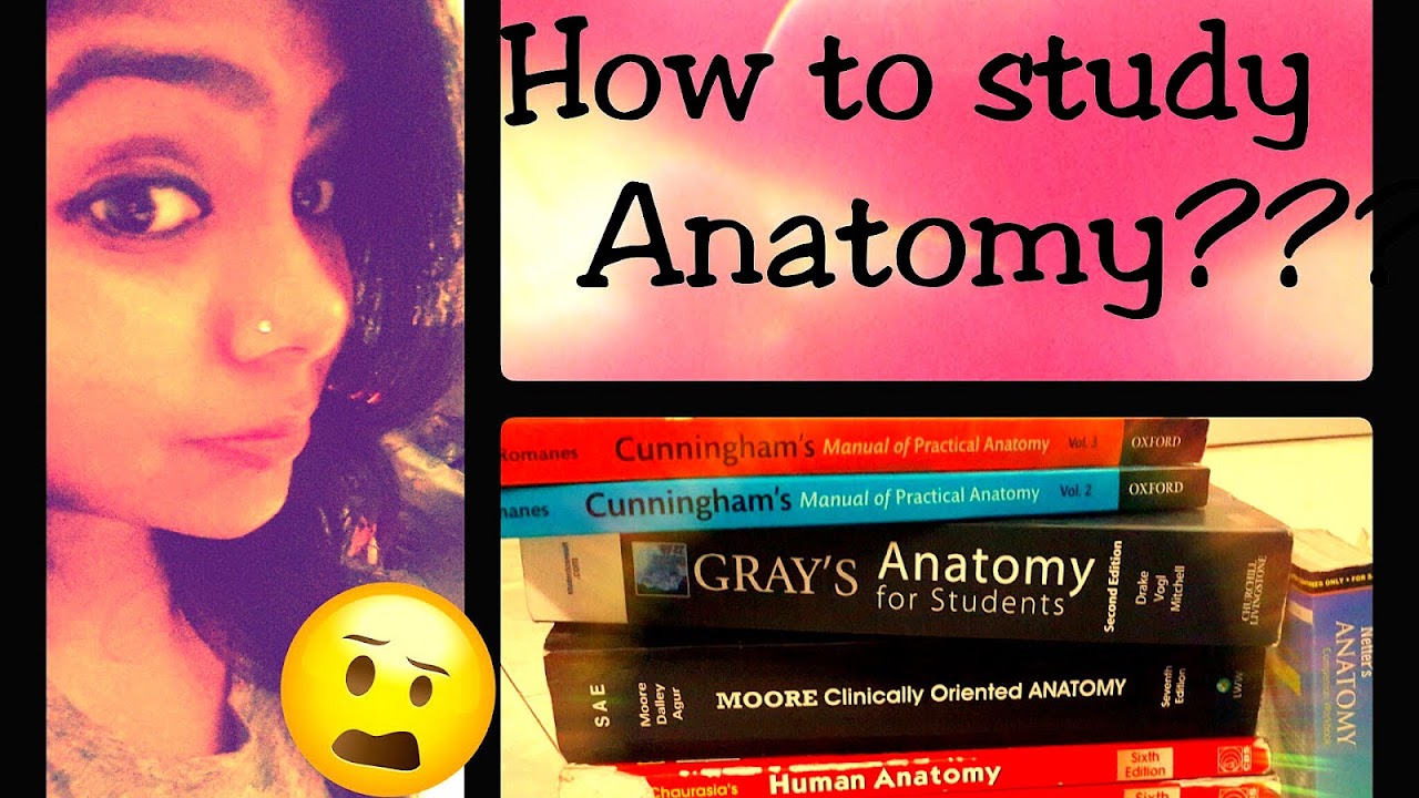 Best Study Techniques For Medical School