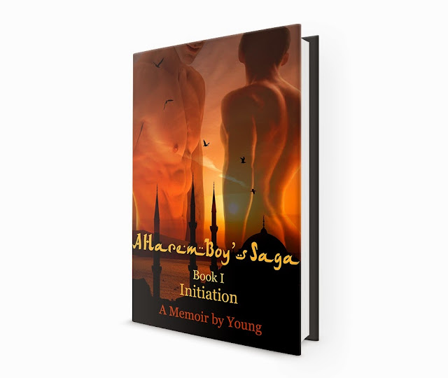 http://www.amazon.com/Initiation-Harem-Boys-Saga-Book-ebook/dp/B00KOEXWQQ/ref=la_B00CENKJKM_1_5?s=books&ie=UTF8&qid=1421655125&sr=1-5