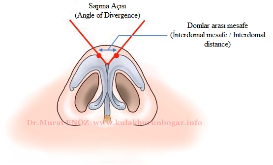 Sapma Açısı (Angle of Divergence)