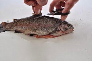 Whiskey Cured Rainbow Trout ~ Simple Food