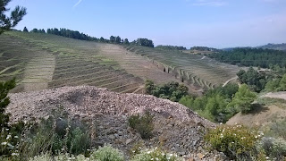 Escombreras y viñas en terrazas , Mina Regia, Bellmunt del Priorat, Tarragona, 